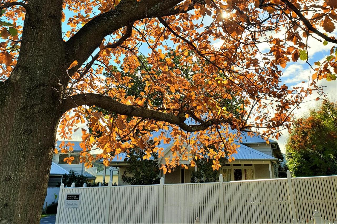 Healesville House - Magnolia House ภายนอก รูปภาพ